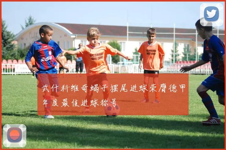 武什科维奇蝎子摆尾进球荣膺德甲年度最佳进球称号