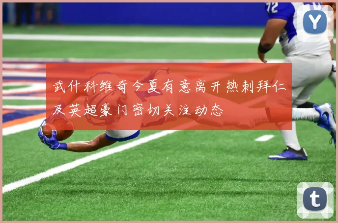 武什科维奇今夏有意离开热刺拜仁及英超豪门密切关注动态